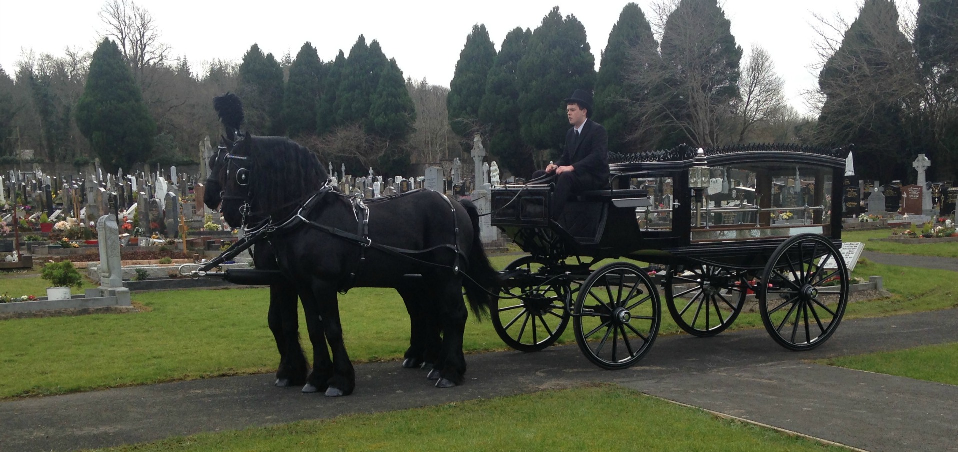 Funeral Horse and Carriage Hearse