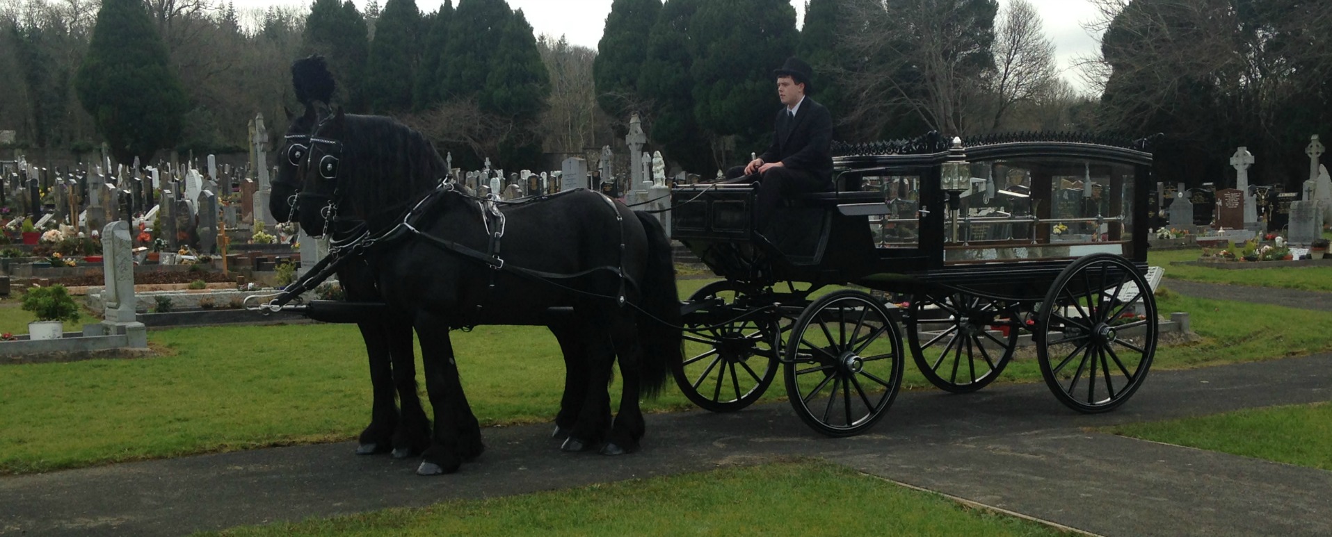 Melia Carriages Funeral Horse and Carriage